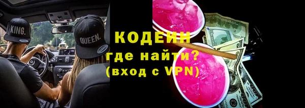 прущие грибы Кодинск